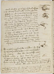 Code sur le vol des oiseaux, c. 1505-06, manuscrit sur papier, cc. 18, feuille 8 verso